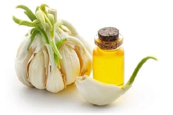اسانس سیر