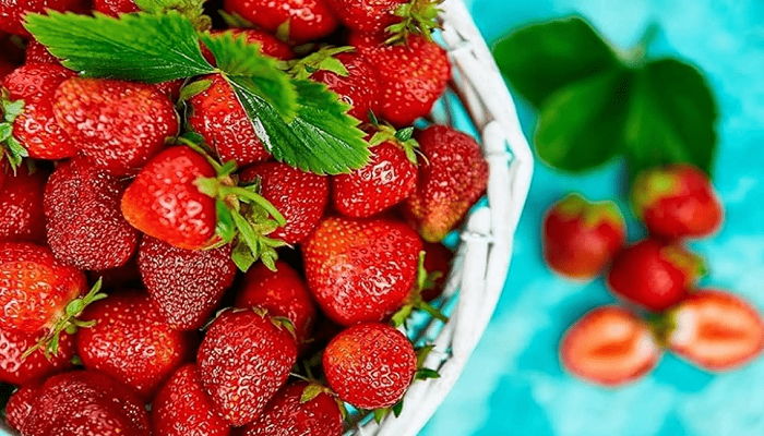 طرز تهیه اسانس از توت فرنگی وحشی