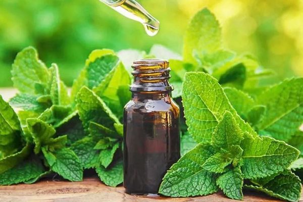 درست کردن اسانس خوراکی به روش فشرده سازی