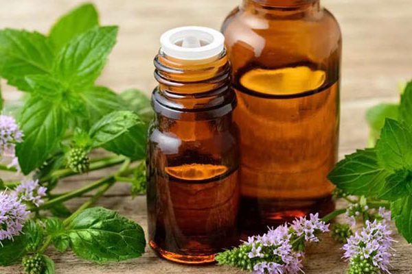 شرکت ماگنولیا و تولید انواع اسانس خوراکی