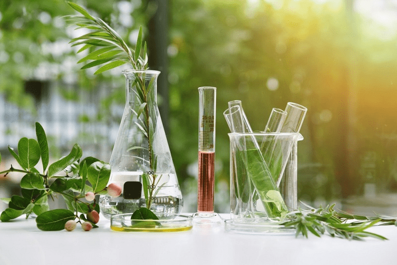 راهکارهای پیشرفته در استخراج رنگ طبیعی از گیاهان