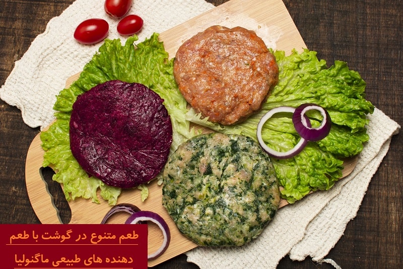 پروتئین‌های گیاهی چگونه طعم گوشت را شبیه‌سازی می‌کنند؟
